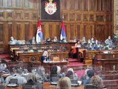 22. decembar 2020. Osma sednica Drugog redovnog zasedanja Narodne skupštine Republike Srbije u 2020. godini 